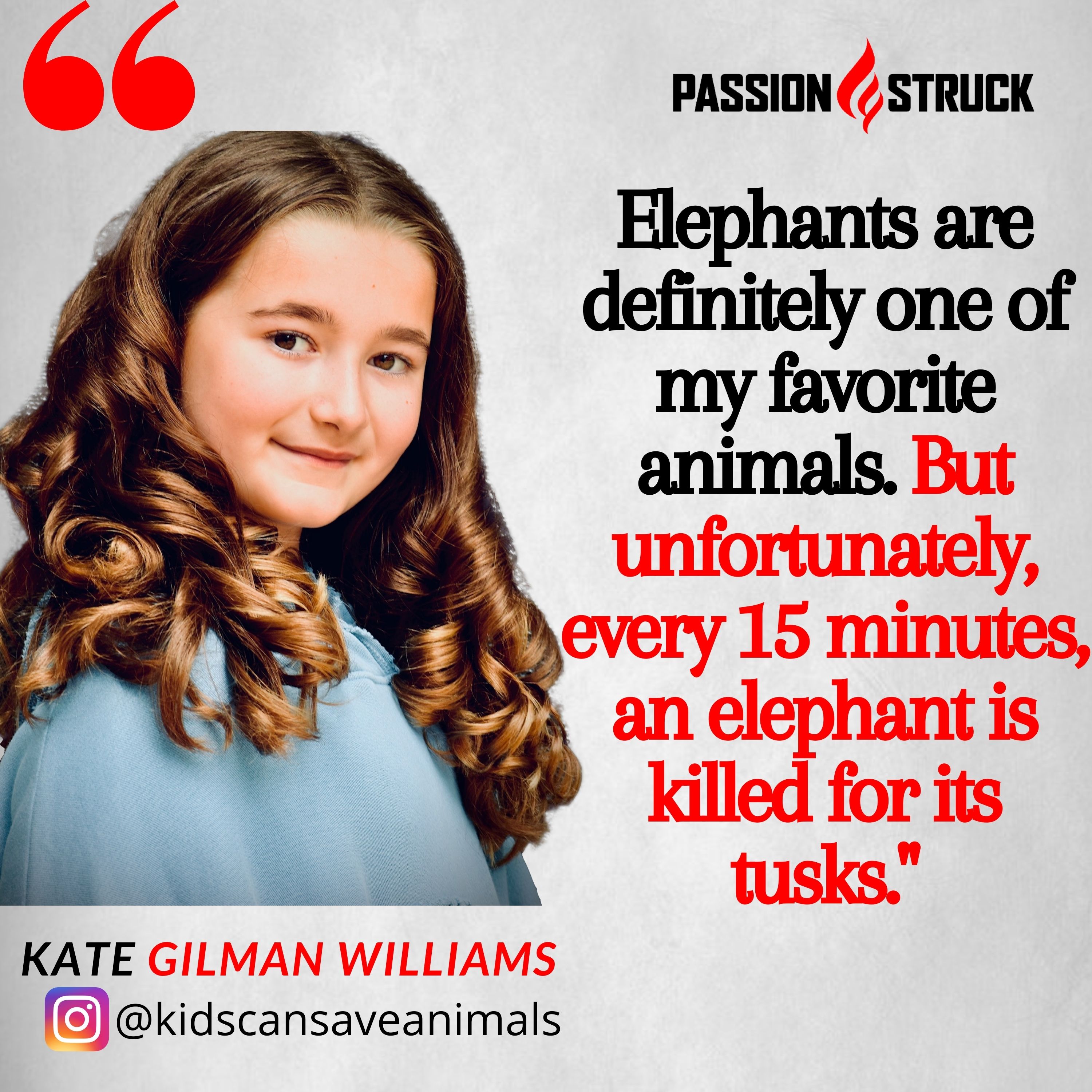 Kate Gilman Williams quote from Passion Struck on how every 15 minutes an elephant dies