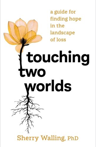 Touching two worlds by Dr. Sherry Walling for the passion struck podcast recommended book list