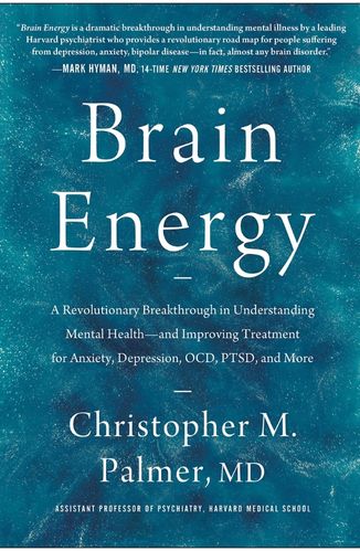 Brain Energy by Christopher Palmer for Passion Struck podcast recommended books list