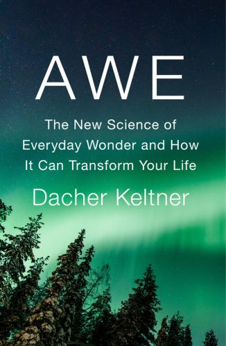 Awe by Dacher Keltner for the Passion Struck recommended book list