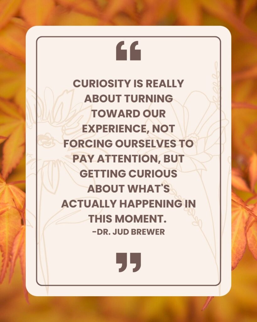 Dr. Jud Brewer quote from the Passion Struck podcast Curiosity is really about turning toward our experience, not forcing ourselves to pay attention, but really getting curious about what's actual