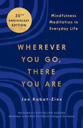 Wherever You Go, There You Are by Jon Kabat-Zinn for Passion Struck recommended books