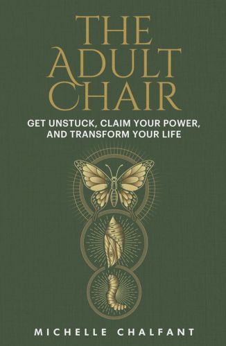 The Adult Chair by Michelle Chalfant for Passion Struck Recommended Books