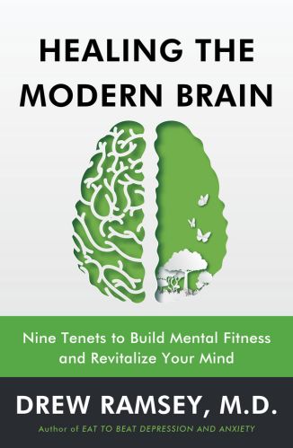 Healing the Modern Brain by Dr. Drew Ramsey for Passion Struck Recommended Books